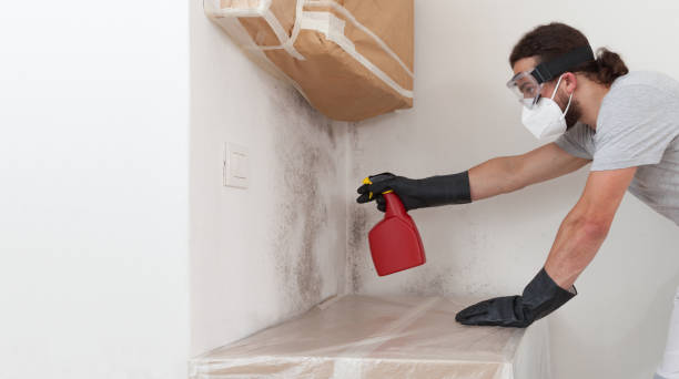 Professional Mold Testing technician working in Triangle, VA