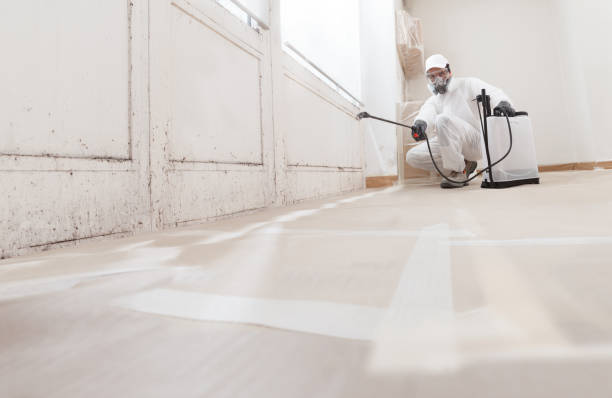 24/7 Emergency Mold Testing experts in Triangle, VA