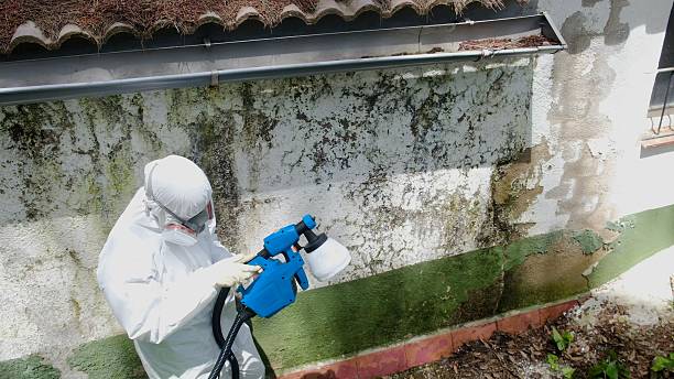 Trusted Mold Inspection service in Triangle, VA - Cheap Mold Removal